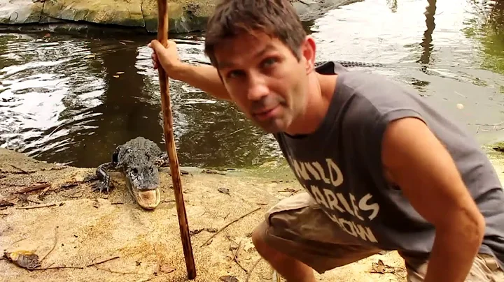 Alligator Egg Rescue in Florida! (Dangerous Collection!)