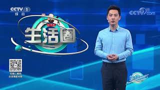 《生活圈》 20201207| CCTV