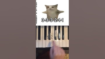 Thumbnail of Happy Happy Happy Cat Meme Piano Tutorial #shorts