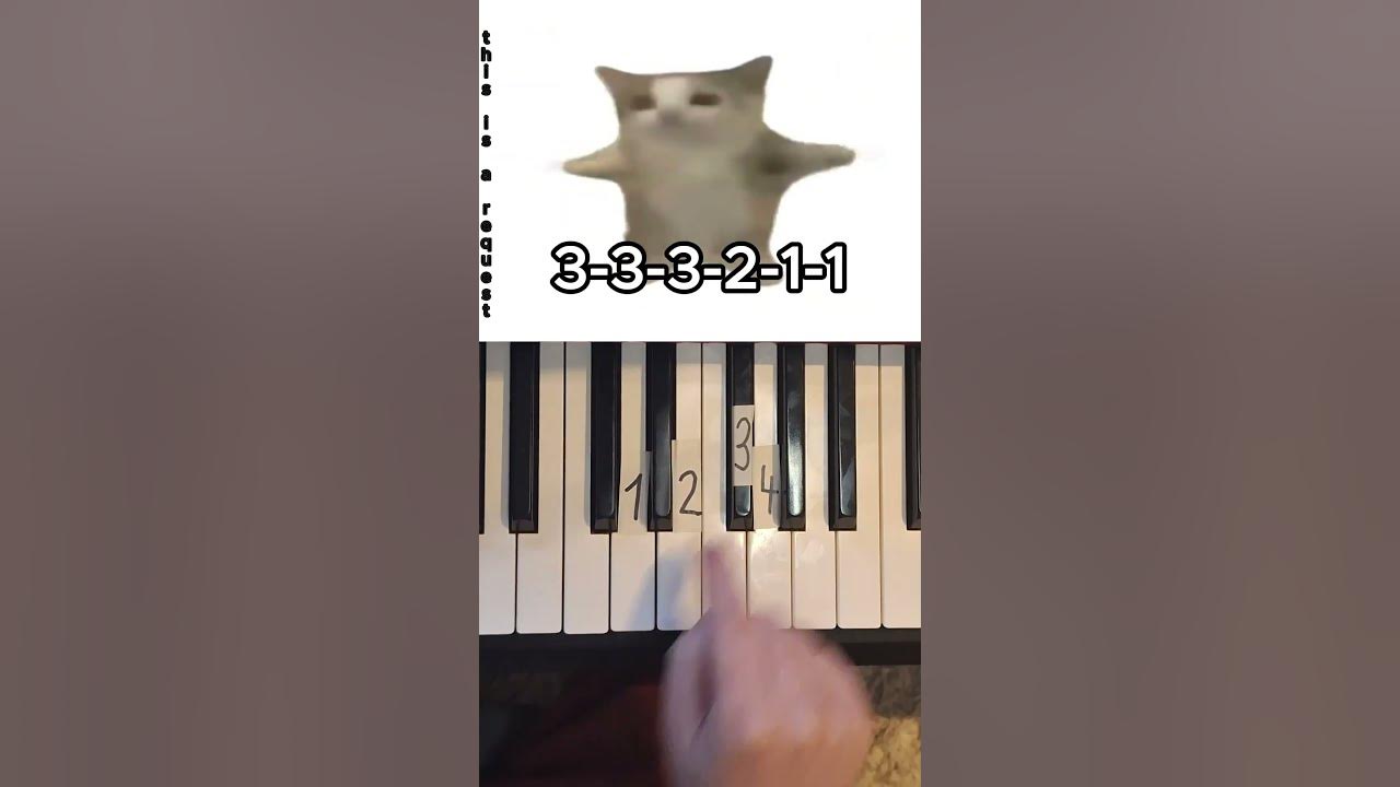 Happy Happy Happy Cat Meme Piano Tutorial #shorts