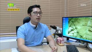 [HIT] 생생정보 - 20대 여성의 탈모를 부르는 습관.20150902