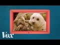 Understanding Human-Dog Relationships