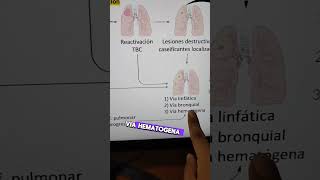 📌 𝙁𝙞𝙨𝙞𝙤𝙥𝙖𝙩𝙤𝙡𝙤𝙜𝙞𝙖 𝙙𝙚 𝙡𝙖 𝙏𝙪𝙗𝙚𝙧𝙘𝙪𝙡𝙤𝙨𝙞𝙨‼️ 🦠🔬 #medicina #tuberculosis #fisiologia #tbc #enfermedad #cell
