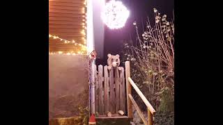 #Navidad en #Aciera #Asturias