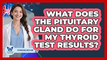 What Does The Pituitary Gland Do For My Thyroid Test Results? - Thyroid Wellness Hub