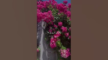 سورة غافر - الآية ٤٤