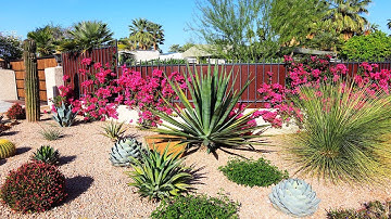 WONDERFUL! XERISCAPE GARDEN DESIGN IDEAS | LOW MAINTENANCE XERISCAPING GARDEN THAT SAVES YOU MONEY
