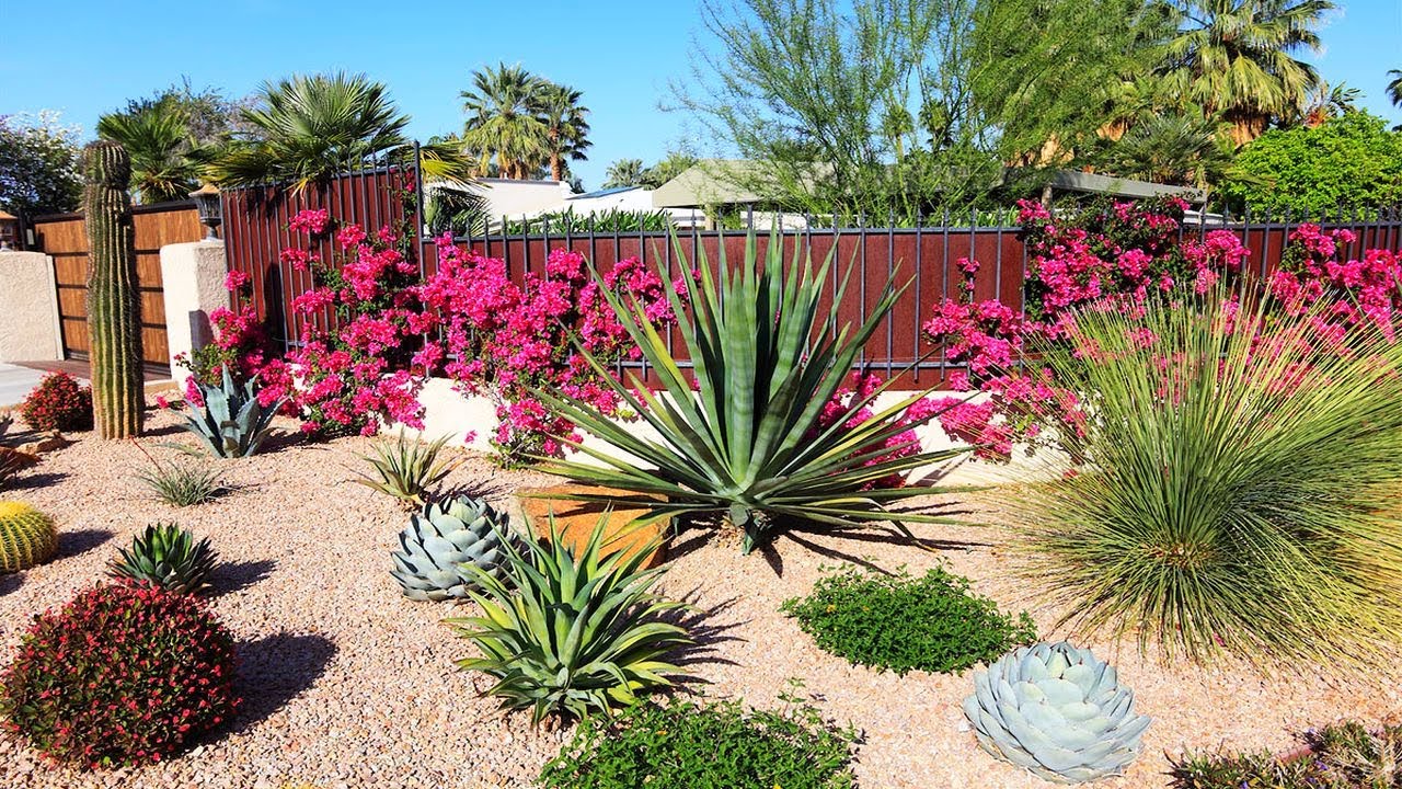 WONDERFUL! XERISCAPE GARDEN DESIGN IDEAS | LOW MAINTENANCE XERISCAPING GARDEN THAT SAVES YOU MONEY