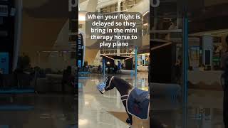 Reminder:In the 2024 FAA Reauthorization, airlines are required to refund you for significant delays