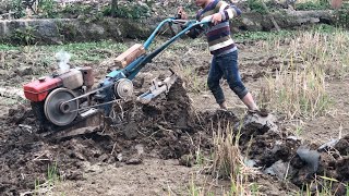 Plow working in the rice field by Cat Excavator Vlog 12 views 2 years ago 6 minutes, 34 seconds