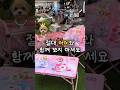 제품 정보와 링크을 보시려면 [클릭!] | 스노우라인 티니핑 미니 체어 테이블 웨건 캠핑세트 #캠핑 #camping #티니핑 #콜라보
