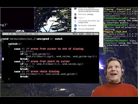 Creating a Terminal Emulator [c++ live stream]