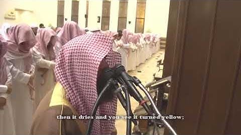 اعلموا أنما الحياة الدنيا لعب ولهو وزينة وتفاخر بينكم-تلاوة خاشعة محمد اللحيدان