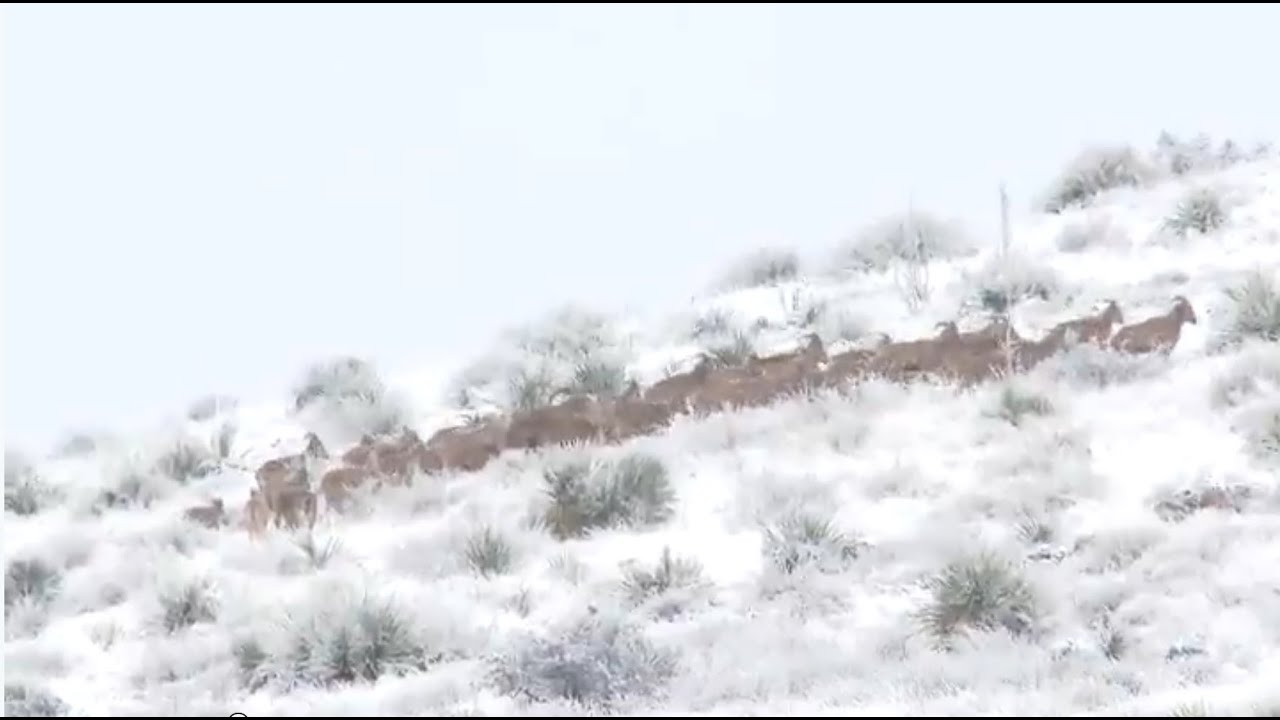 790 Yard Vapor Trail Through the Phone Skope