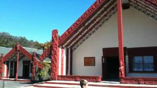 IMG_0568.MOV