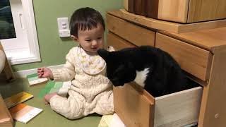 This sweet toddler has a surprise hiding in the drawer