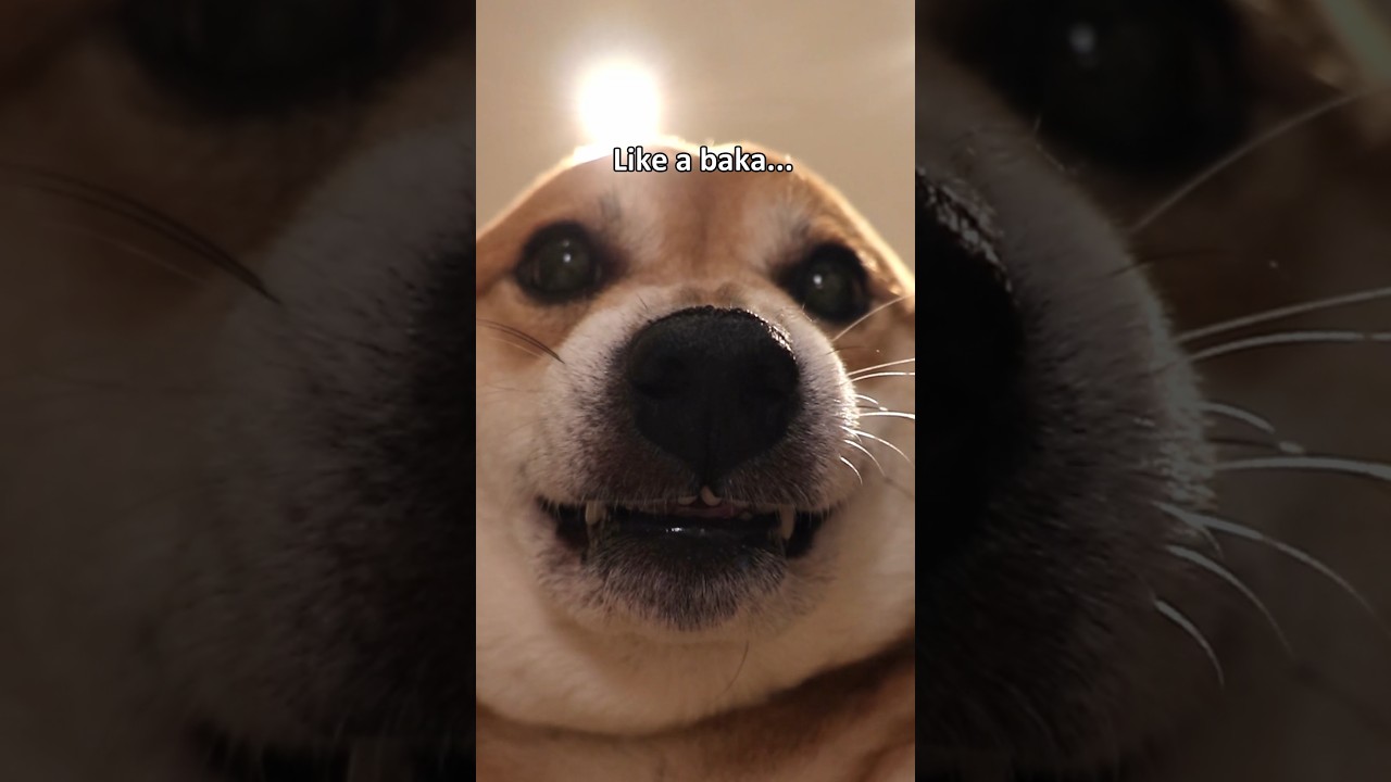 Smelly, stinky, sussy baka Eren😔