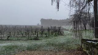 Snowing At Clos Vieux Rochers!