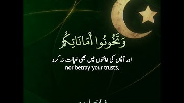 ✨واذكروا إذ أنتم قليل مستضعفون🇵🇰 سورة الأنفال:٢٦-٢٨|إدريس أبكر|Surah Al Anfaal:26-28|Idrees Abkar