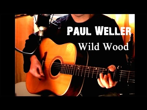 Wild wild wood - Paul Weller