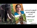 Pampady Rajan മരണത്തിൽ നിന്ന് രക്ഷപെട്ടത്#elephantloversstory#keralaelephantstories#