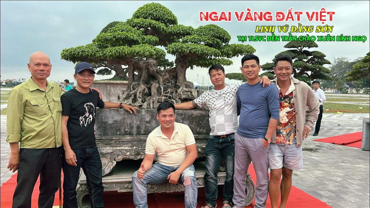 NGAI VÀNG ĐẤT VIỆT& LINH VŨ ĐẰNG SƠN đang có mặt tại TLSVC ĐỀN TRẦN lần đầu xuất hiện | Quảng Tùng