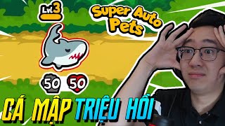 Tôi tìm được CÁ MẬP CẤP 3 bá đạo với lối chơi TRIỆU HỒI nhưng ... (Super auto pets)