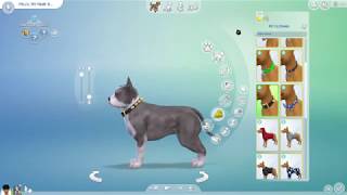 Sims 4 Cats & Dogs - Making an American Bully screenshot 5