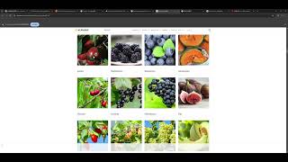 Weather Forecasts  Long Range, Seasonal & Daily   The Old Farmer's Almanac   Google Chrome 2026 01 3