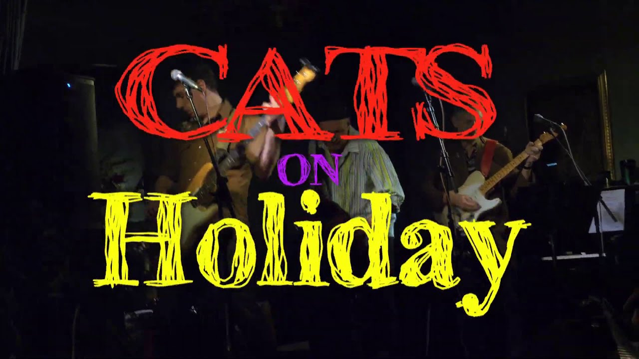 Cats on Holiday Live Cleveland Zydeco YouTube