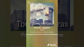 Potaxie - Bigpene