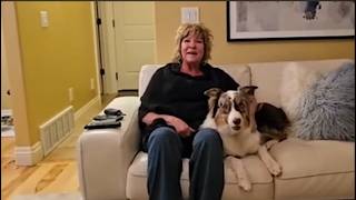 Dog Trainers Tulsa | "I Can't Even Express How Much They Did for Our Dog!