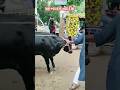 guru 03 #shorts