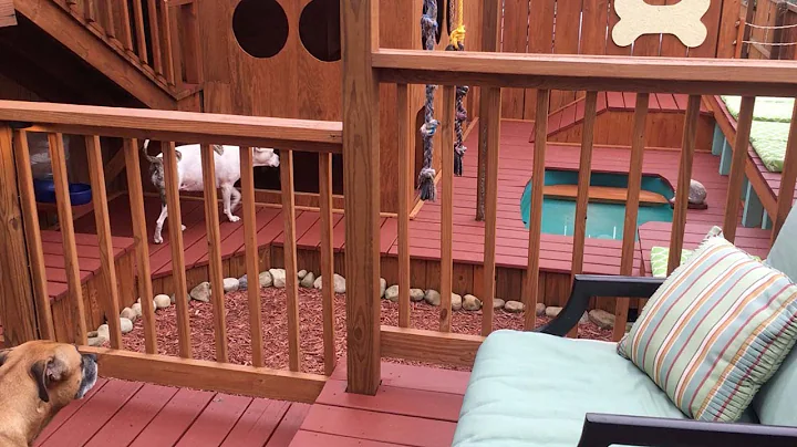 Dad Builds Palace For Dogs