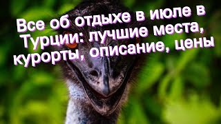 Все об отдыхе в июле в Турции: лучшие места, курорты, описание, цены