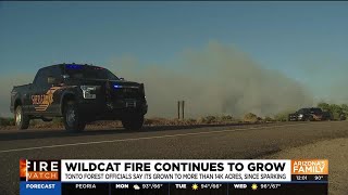 Crews continue to battle 14K-acre Wildcat Fire NE of Valley