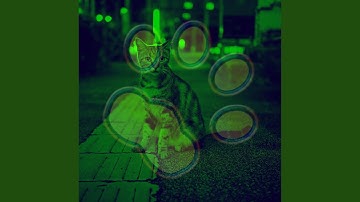 Pulsating Cats and Babies