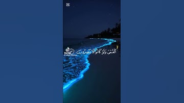 ﴿ و منهم من ينظر إليك ﴾ سورة يونس { من أية ٤٣ إلى ٤٤ } القارئ عبدالرحمن مسعد #قرآن #قران_كريم