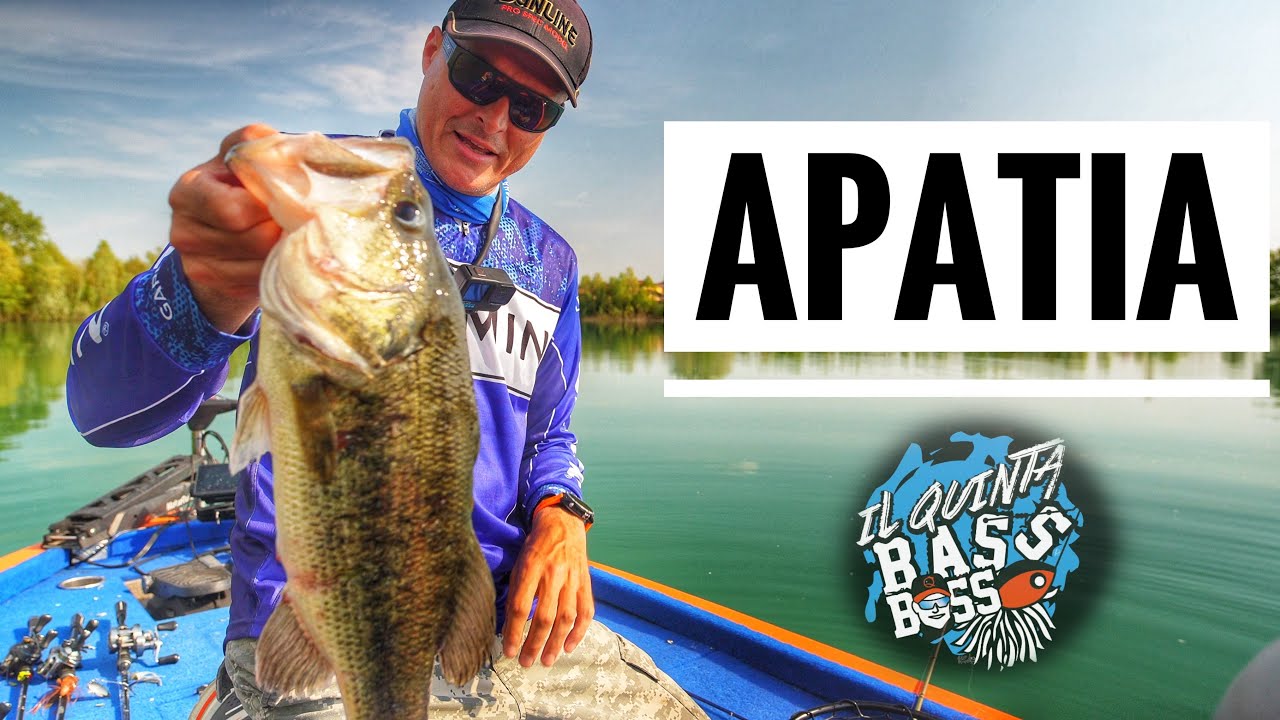APATIA – Come affrontarla nel BASS FISHING