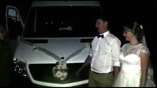 Аренда автобуса на свадьбу Аренда автобуса на свадьбу