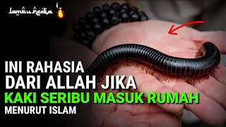 WASPADA !! 13 Pertanda Jika Kaki Seribu Masuk Ke Rumah Menurut Islam