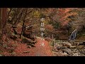 晩秋の赤目四十八滝 : A Relaxing Virtual Walk Through Akame 48 Waterfalls（Mie, Japan）
