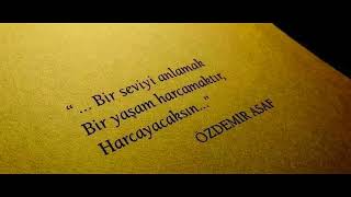 Özdemir Asaf Seni Saklayacağım Resimi