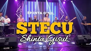 Download Lagu STECU, Shinta Gisul hits dangdut koplo MP3