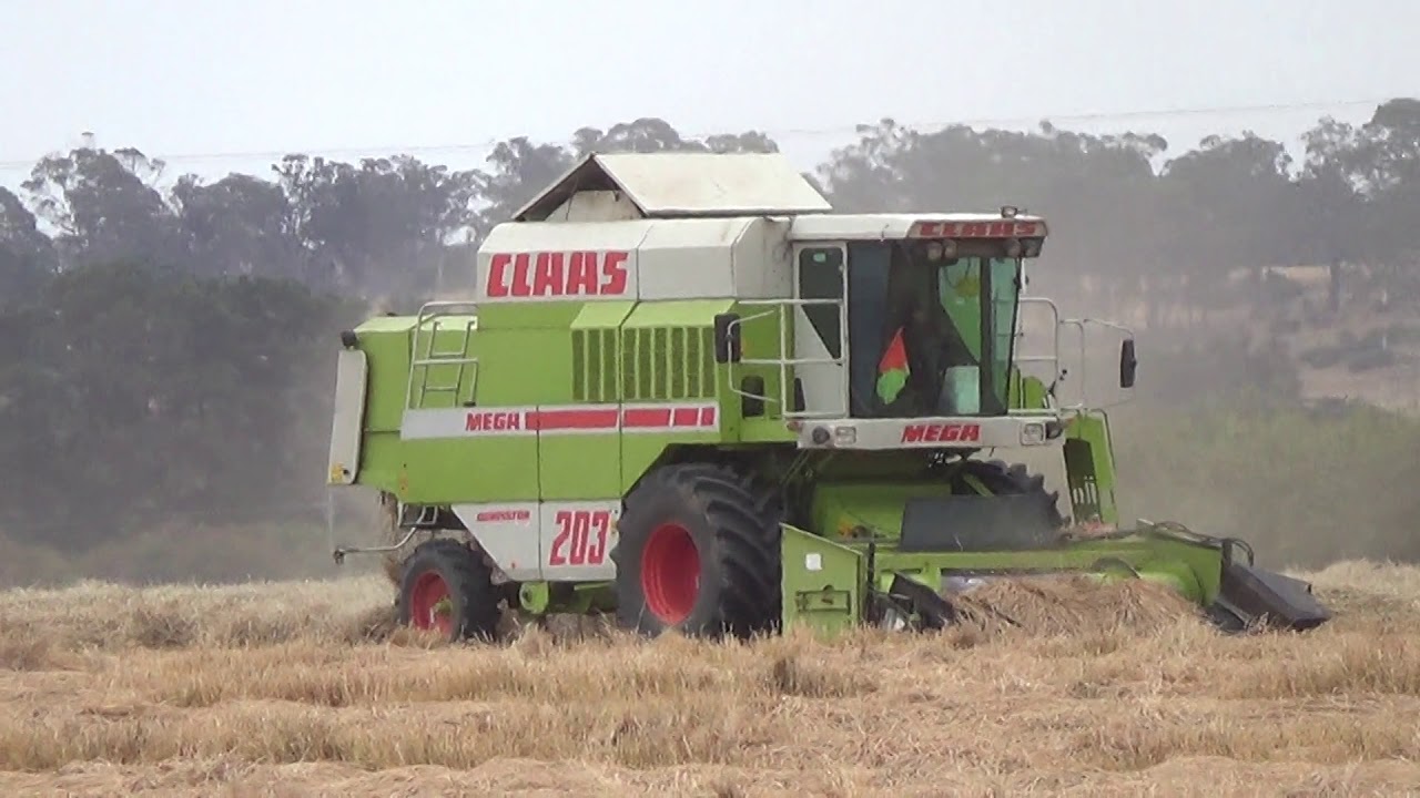 Kinburn Grass Seed Harvest Part 1. YouTube