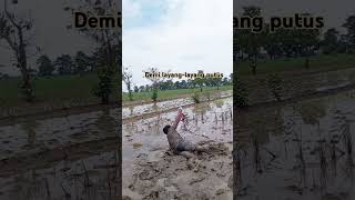 Demi Layanglayang viralshort funny shorts