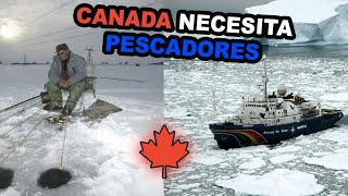 OPORTUNIDAD DE TRABAJO EN CANADA 2020 - TRABAJAR COMO PESCADOR