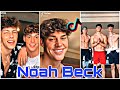 Noah Beck Best TikTok Compilation 2020 🔥 @noahbeck