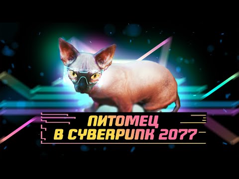 Как приручить кота в Киберпанк 2077 | Cat in Cyberpunk 2077