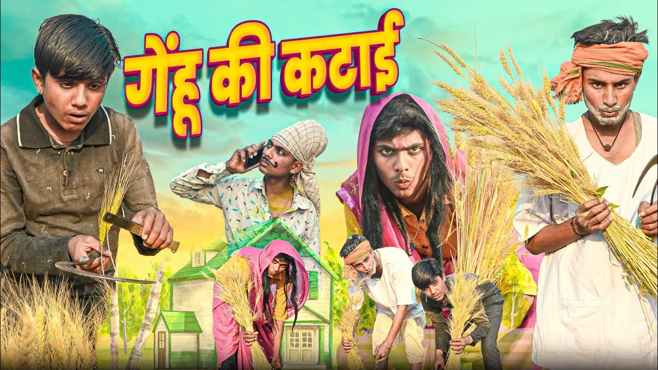 गेंहू की कटाई || RJ17 Team06